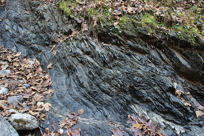 Tonschiefer der Partnachschichten